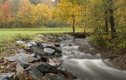 Waterville Vermont Foliage